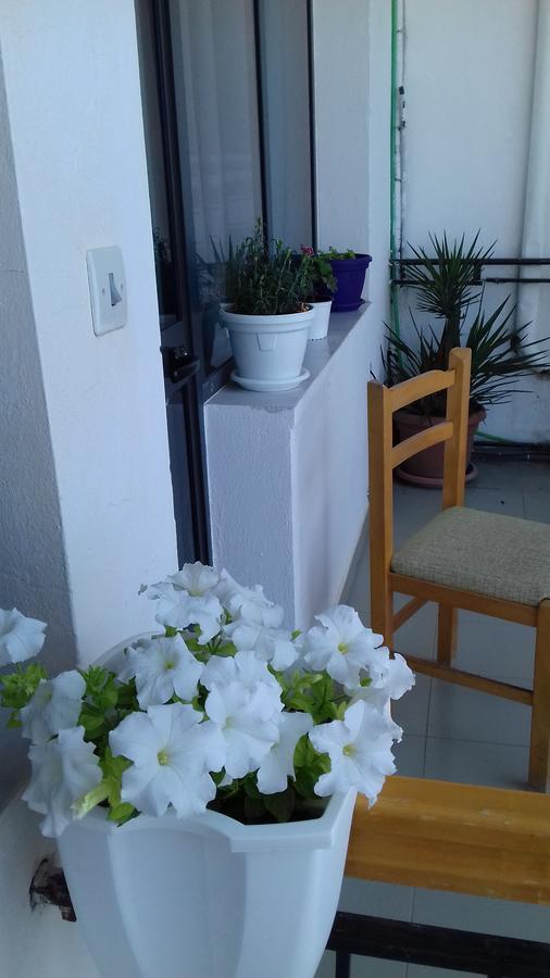 Kruja Hostel Exteriér fotografie